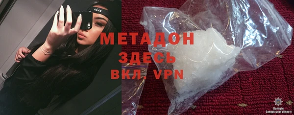индика Арсеньев