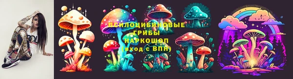 твердый Аркадак