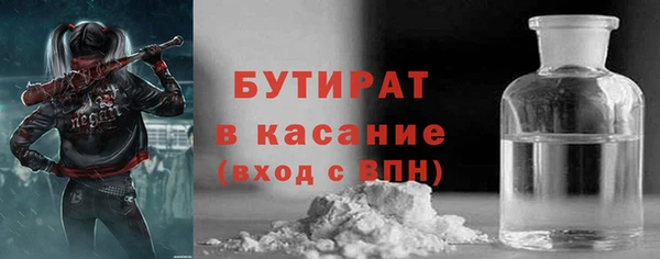 индика Арсеньев