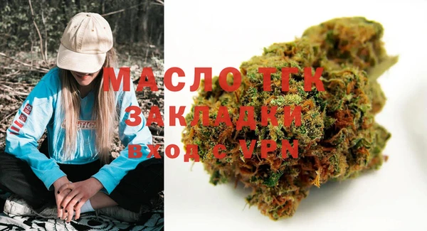 индика Арсеньев