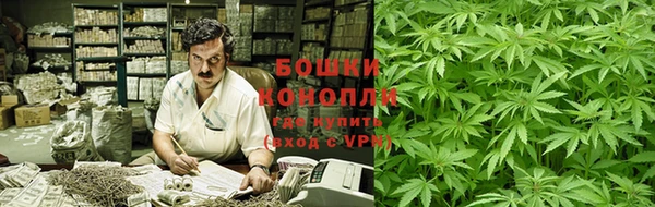 твердый Аркадак