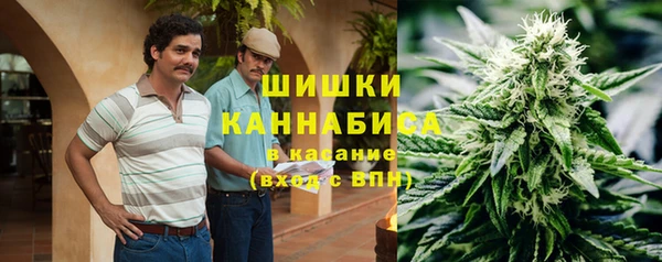 твердый Аркадак