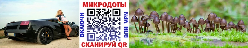 Псилоцибиновые грибы Magic Shrooms  где продают наркотики  Алейск 